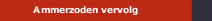 Ammerzoden vervolg